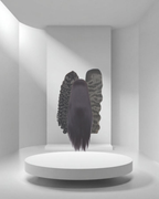 13x4 Premium HD Lace Wigs