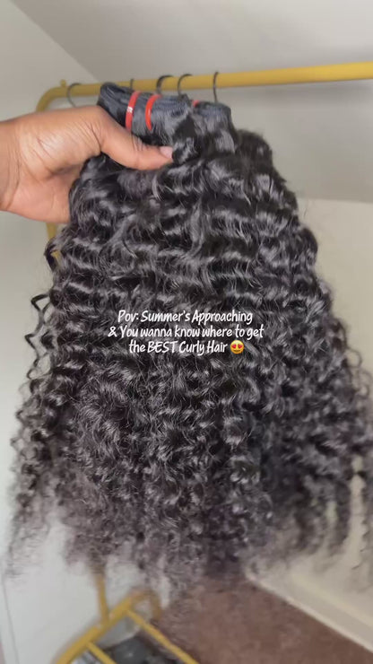 Indian Burmese Curly